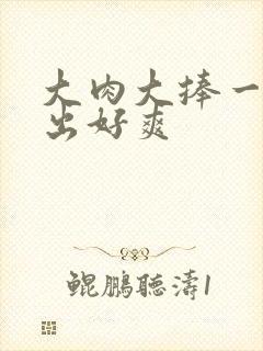大肉大捧一进一出好爽封面
