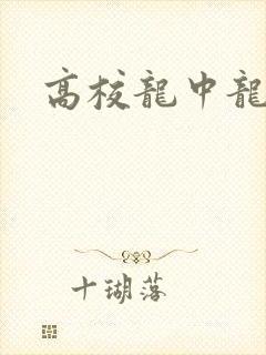 高校龙中龙