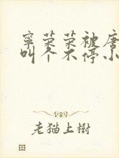 宁荣荣被唐三桶叫个不停小说封面