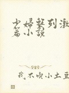 少妇系列激情短篇小说