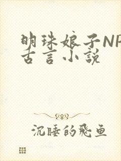 明珠娘子NPC古言小说