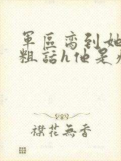 军区脔到她哭h粗话h他是疯批