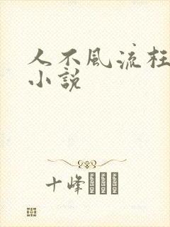 人不风流枉少年小说