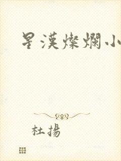 星汉灿烂小说
