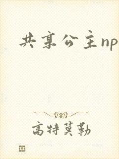 共享公主npc