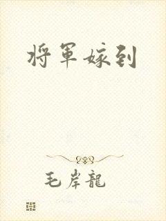 将军嫁到