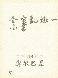 全家乱炖一锅烩小书