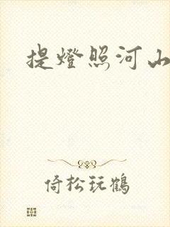 提灯照河山封面