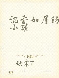 沉香如屑的原著小说封面