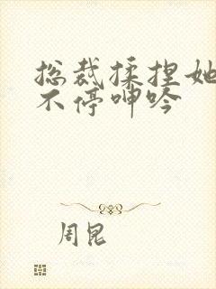 总裁揉捏她两乳不停呻吟封面