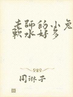 老师的小兔子好软水好多