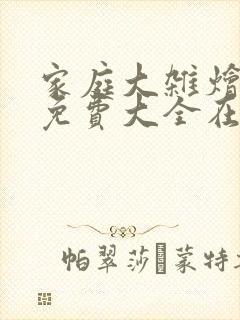 家庭大杂烩小说免费大全在线阅读封面