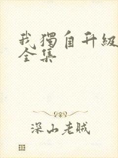 我独自升级漫画全集封面