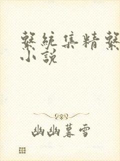 系统集精系统 小说