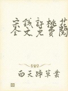 宋钱许桃花小说全文免费阅读封面