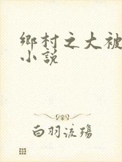 乡村之大被同眠小说