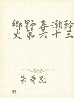 乡野春潮干柴烈火第六十三章