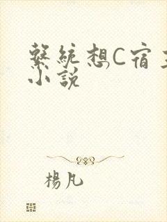 系统想C宿主的小说