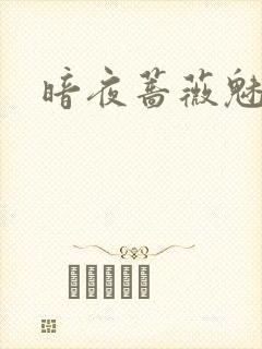暗夜蔷薇魅