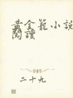 黄金笼小说免费阅读