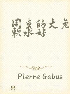 同桌的大兔子好软水好封面