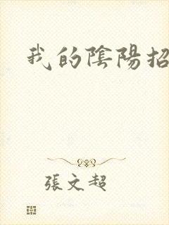 我的阴阳招魂灯封面