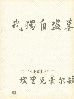 我独自盗墓
