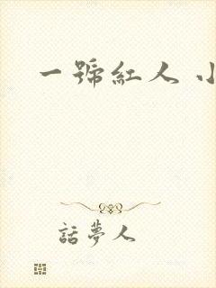 一号红人 小说