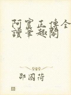 阿宾正传全文阅读笔趣阁