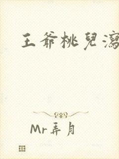 王爷桃儿泻了封面