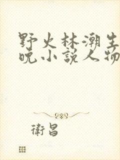 野火林潮生林晚晚小说人物野火