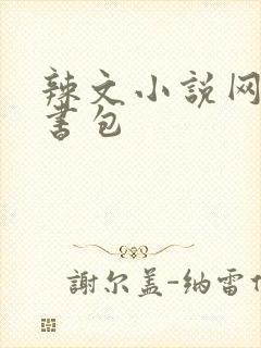 辣文小说网第二书包封面