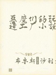恶魔们的玩具改造工厂小说