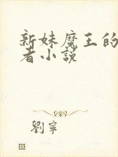 新妹魔王的契约者小说