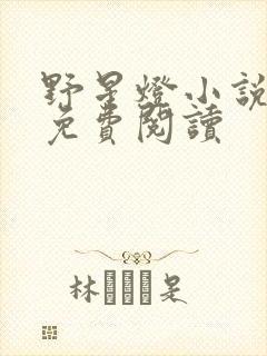 野星灯小说全文免费阅读