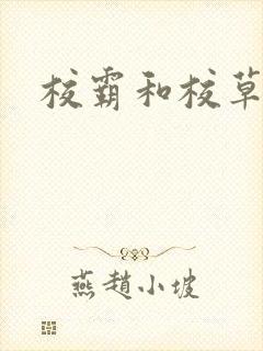 校霸和校草封面