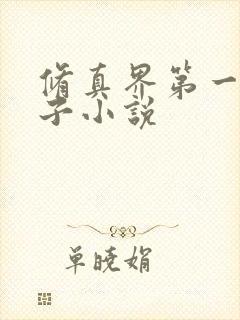 修真界第一病秧子小说