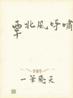 西北风呼啸的中午