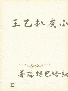 王乙扒灰小说封面