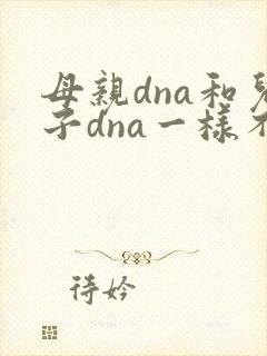 母亲dna和儿子dna一样不