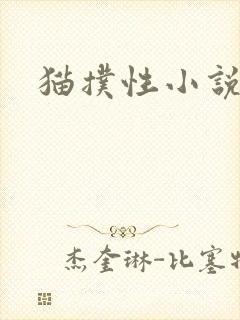 猫扑性小说封面