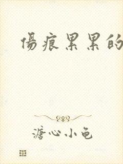 伤痕累累的勋章