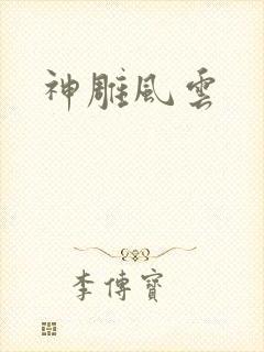 神雕风云