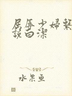 屈辱少妇系列小说白洁封面