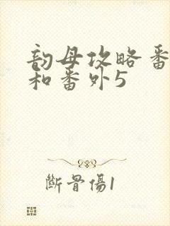 韵母攻略番外4和番外5封面