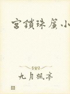 宫锁珠帘小说封面