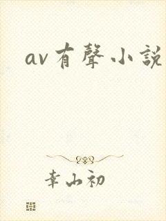 av有声小说封面