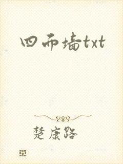 四面墙txt