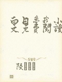 白日梦我小说全文免费阅读封面