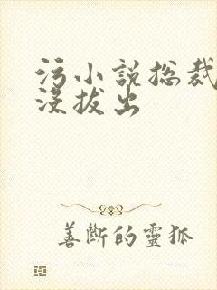 污小说总裁整夜没拔出